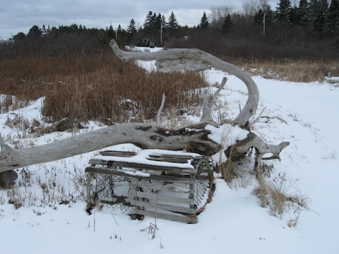 Boathouse in winter