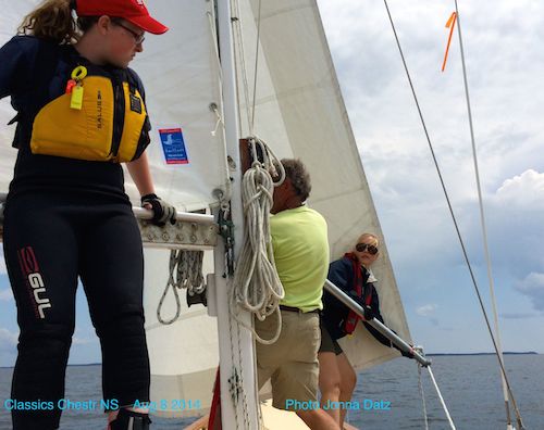 Setting wisker pole